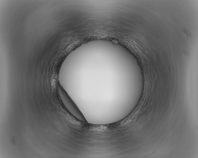 X0000112430576200908141114