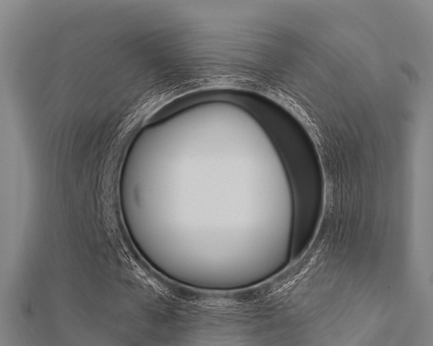 X0000112430577200908141113