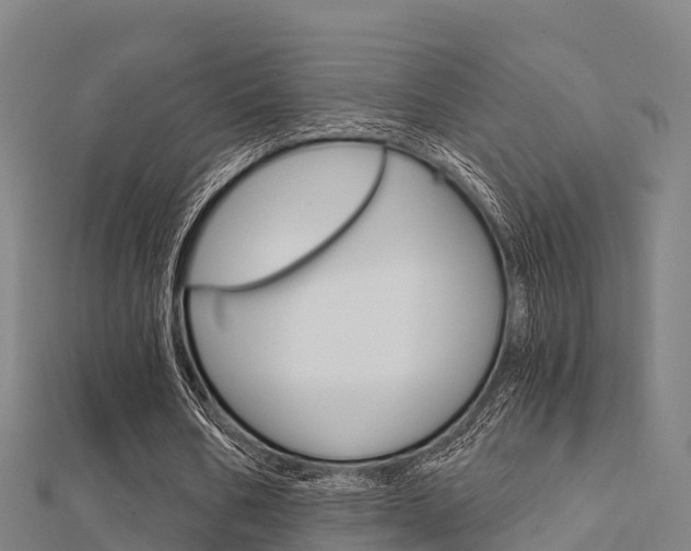 X0000112430578200908141113