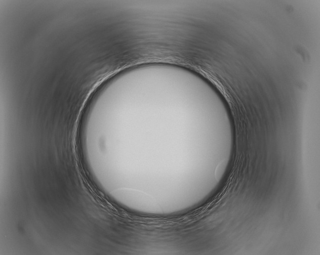X0000112430579200908141113