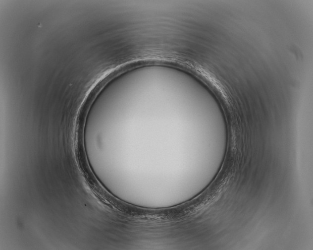 X0000112430580200908141113
