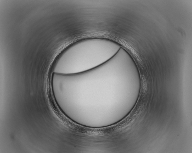 X0000112430582200908141113