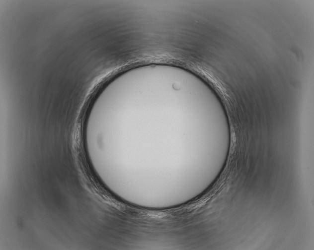 X0000112430583200908141113