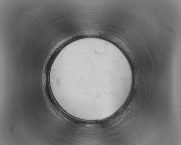 X0000112430584200908141113