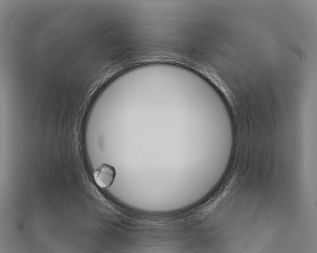 X0000112430585200908141113