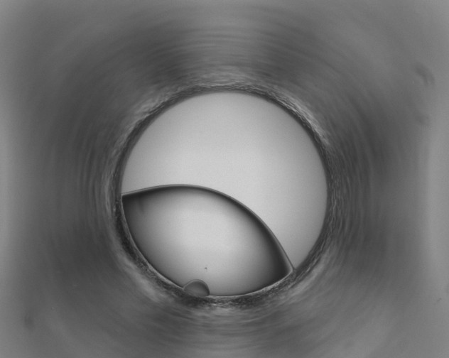 X0000112430589200908141113