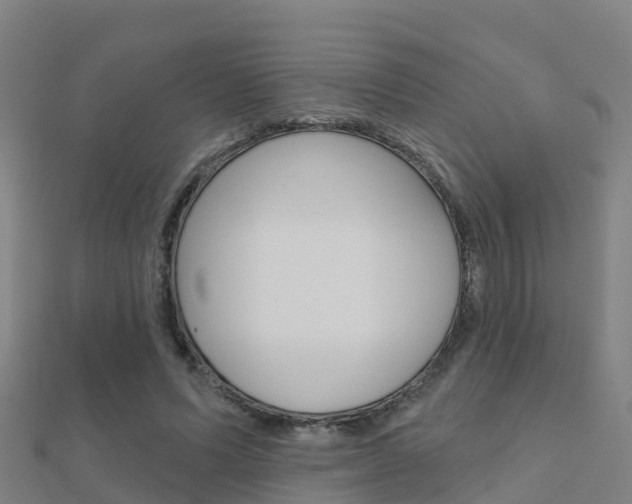 X0000112430591200908141113