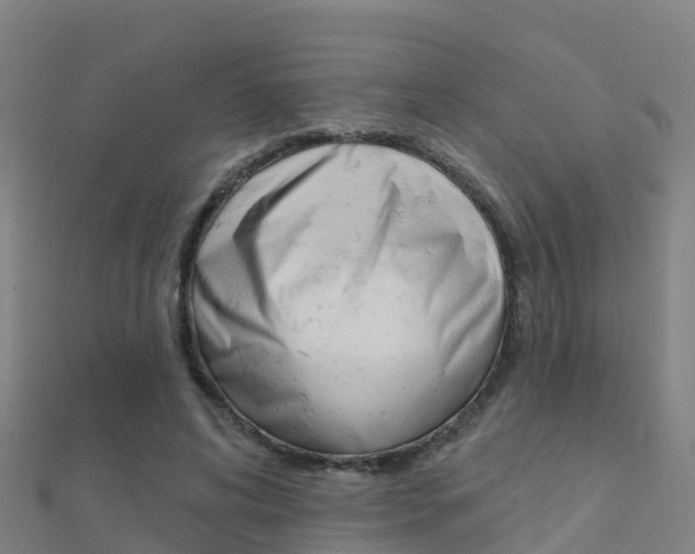 X0000112430592200908141113