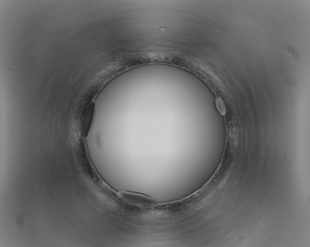 X0000112430593200908141113