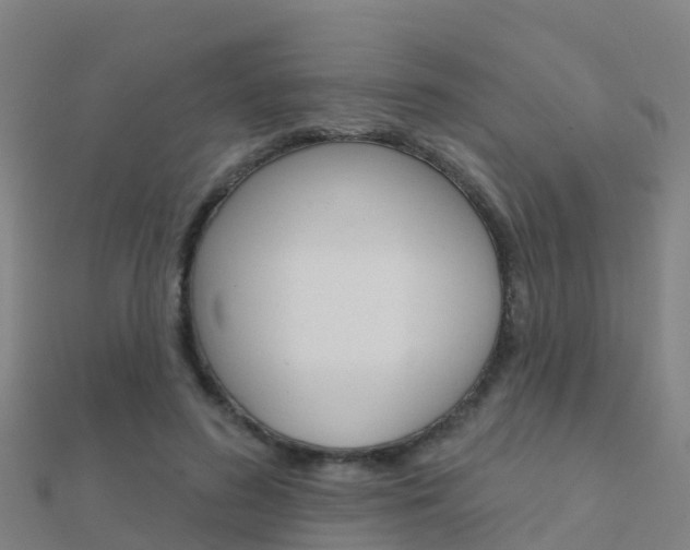 X0000112430596200908141113