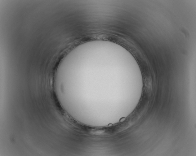 X0000112430602200908141113