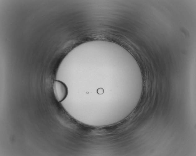 X0000112430603200908141113