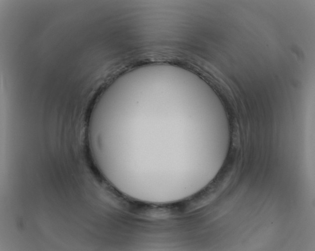 X0000112430604200908141113