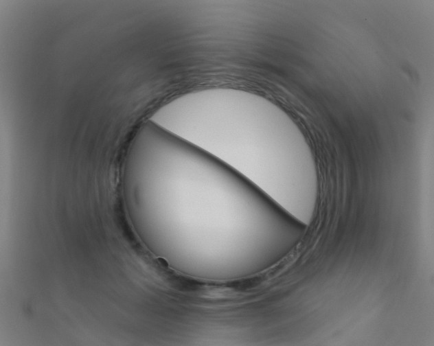 X0000112430605200908141113