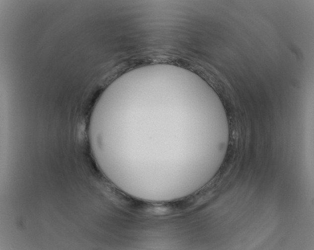 X0000112430610200908141113