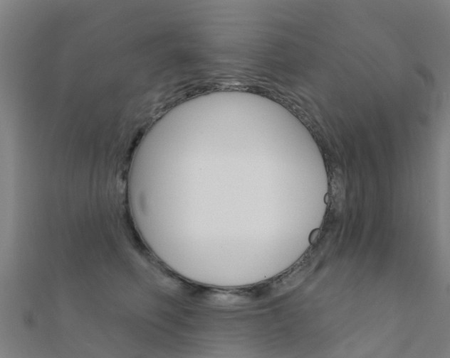 X0000112430614200908141113