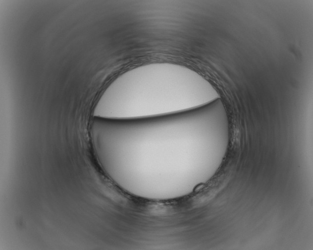 X0000112430616200908141113