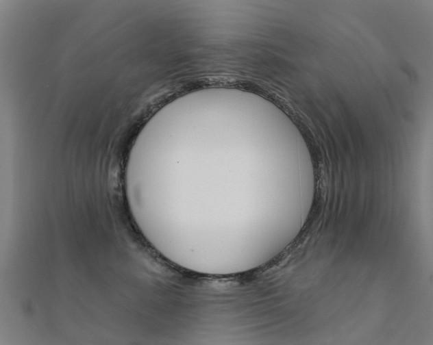 X0000112430619200908141113