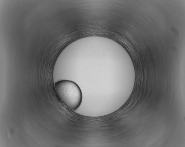 X0000112430621200908141113