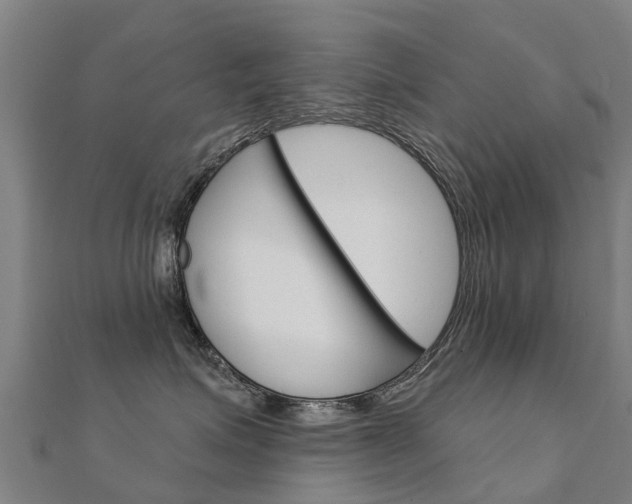 X0000112430623200908141113