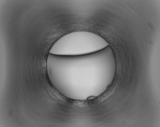 X0000112430624200908141113