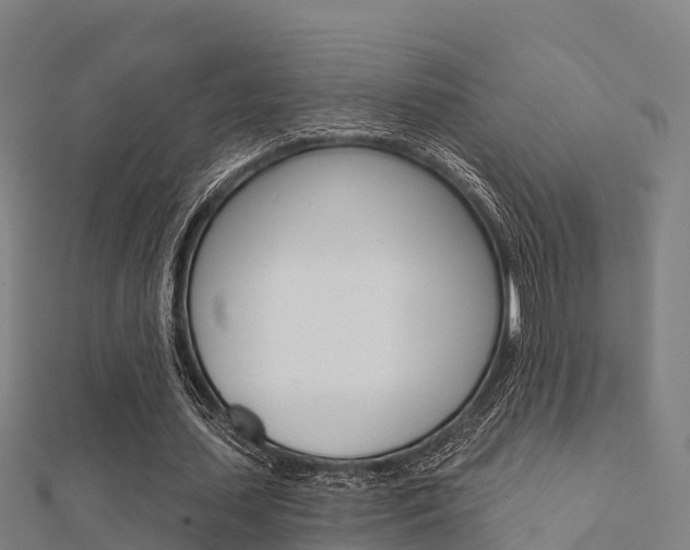X0000112430627200908141112