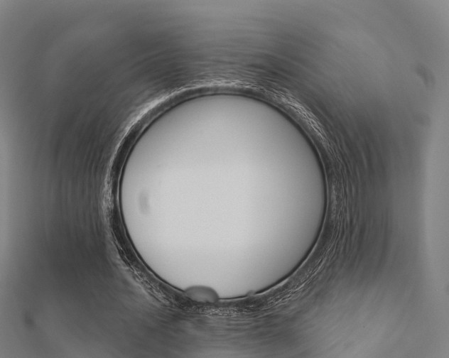 X0000112430628200908141112