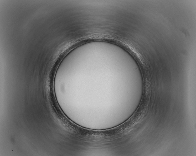 X0000112430631200908141112