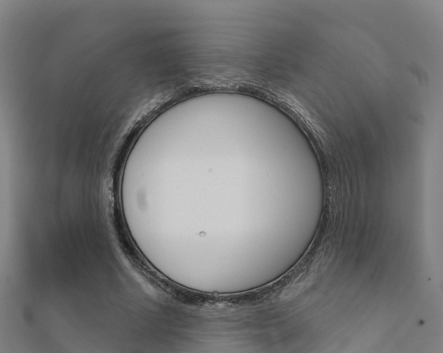 X0000112430634200908141112