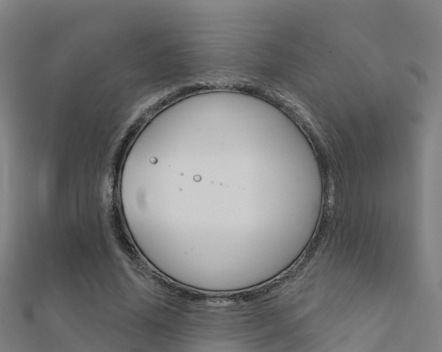 X0000112430636200908141112
