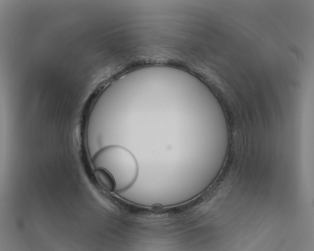 X0000112430638200908141112