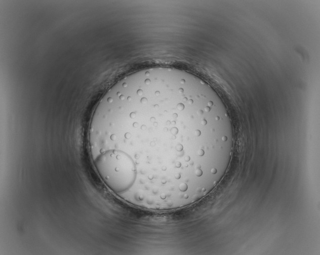 X0000112430639200908141112