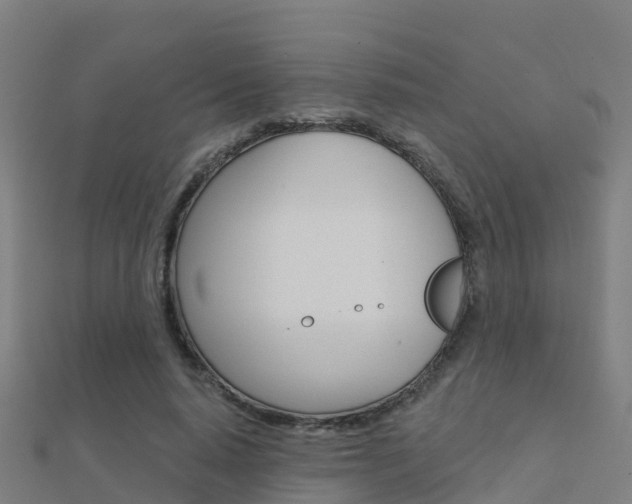 X0000112430640200908141112