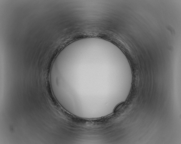 X0000112430641200908141112