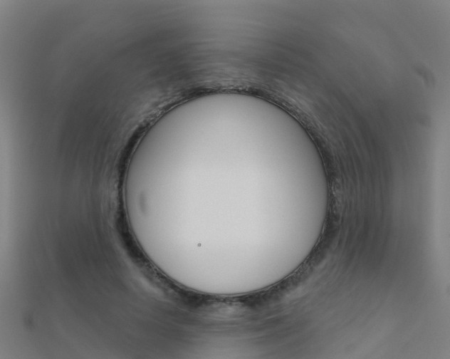 X0000112430642200908141112