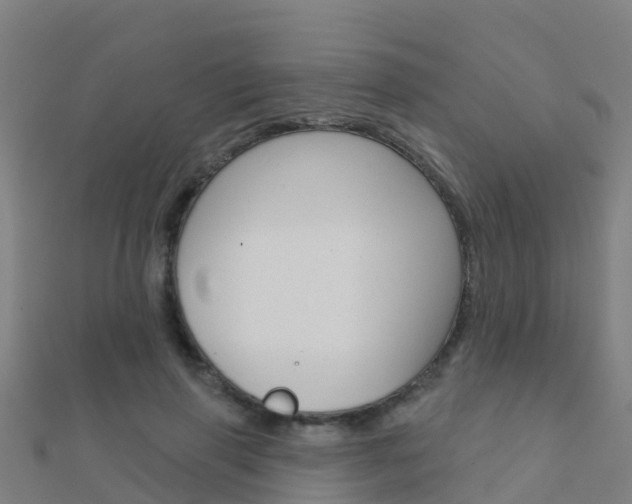 X0000112430645200908141112