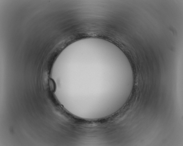X0000112430646200908141112