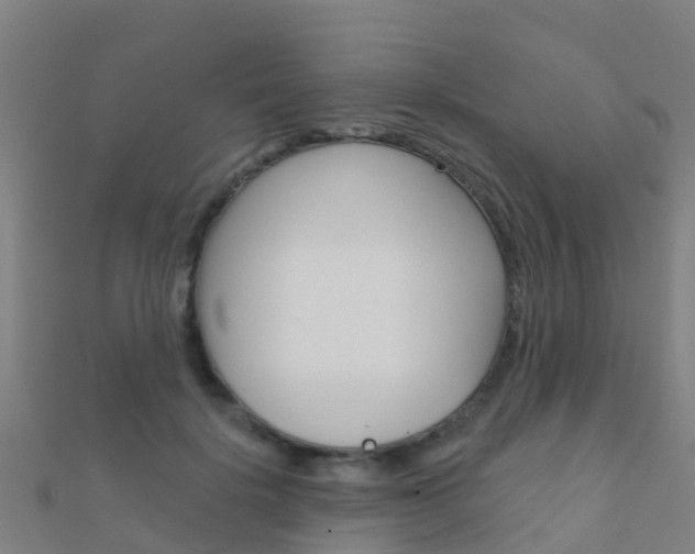 X0000112430652200908141112