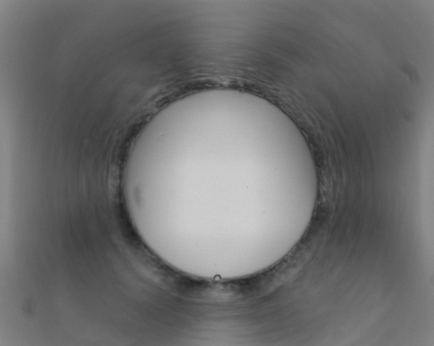 X0000112430656200908141113