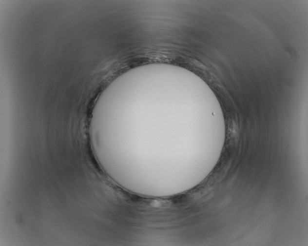 X0000112430663200908141113