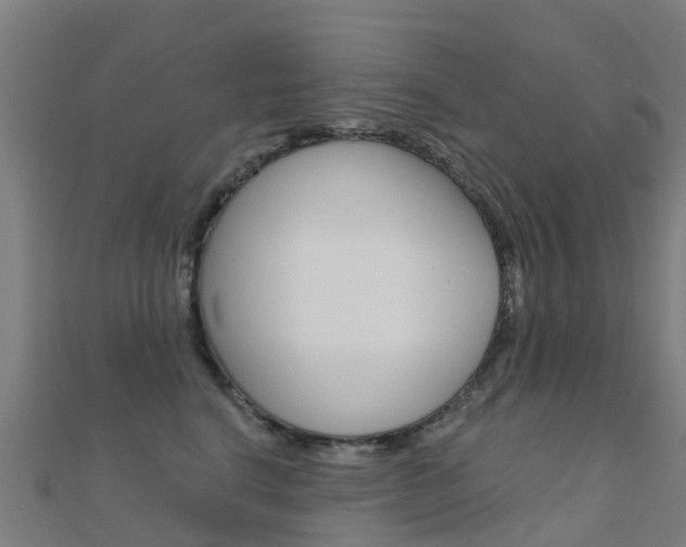 X0000112430664200908141113