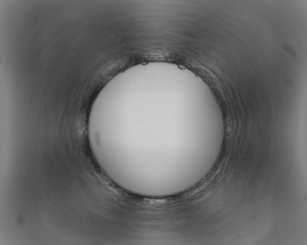 X0000112430665200908141113