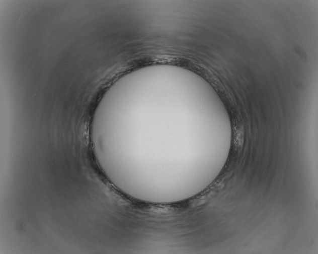 X0000112430666200908141113