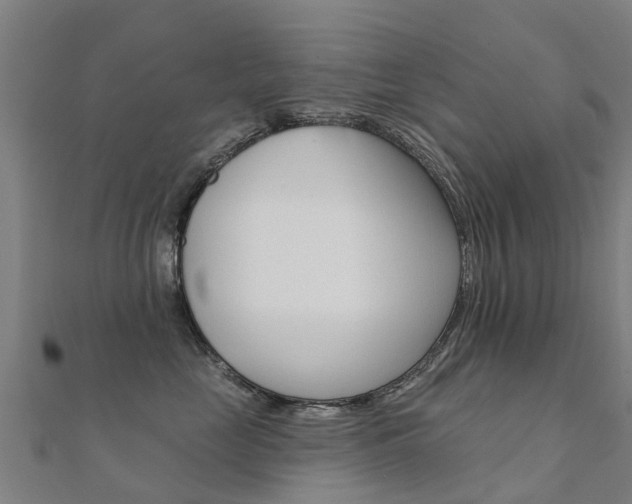 X0000112430669200908141113