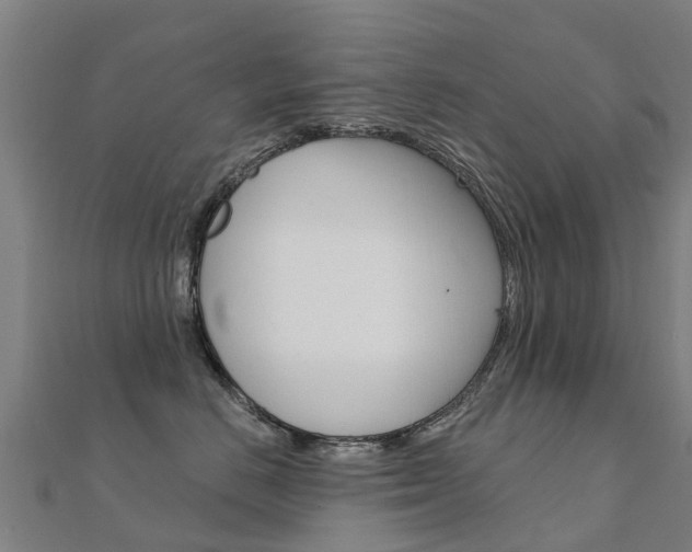 X0000112430670200908141113