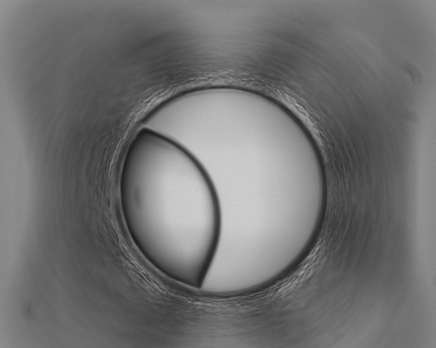 X0000112430673200908141112
