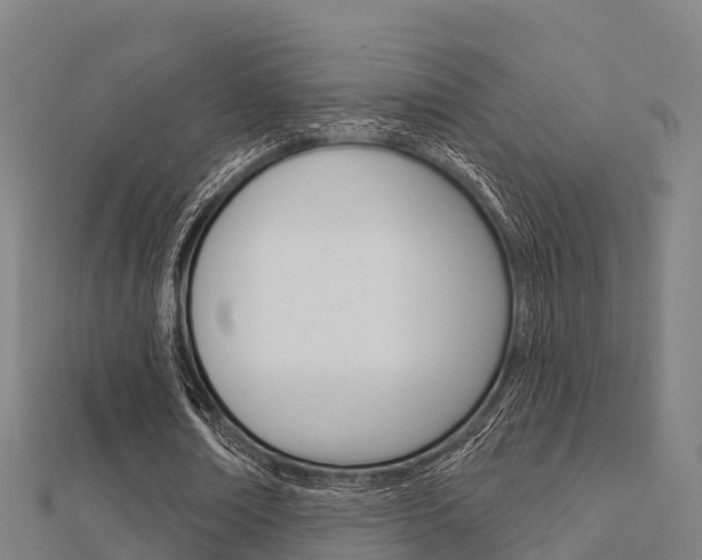 X0000112430674200908141112