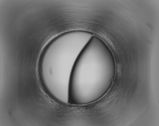 X0000112430676200908141112