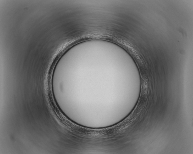 X0000112430678200908141112