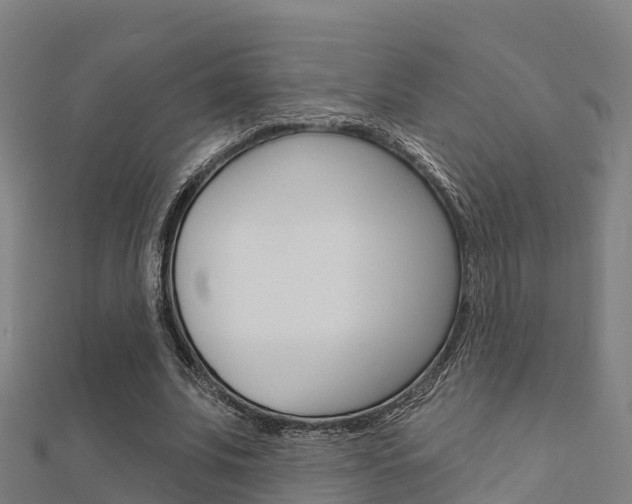 X0000112430679200908141112
